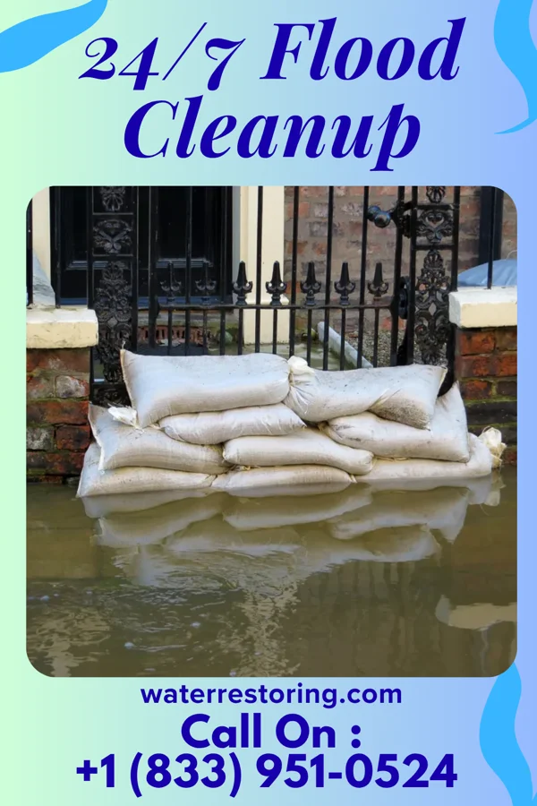 24/7 Flood Cleanup in Alliance, NC