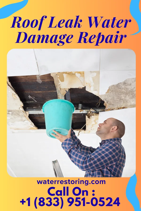Roof Leak Water Damage Repair in Alliance, NC