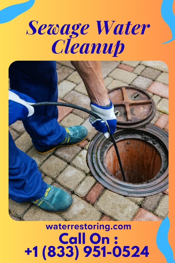 Sewage Water Cleanup in Alliance, NC